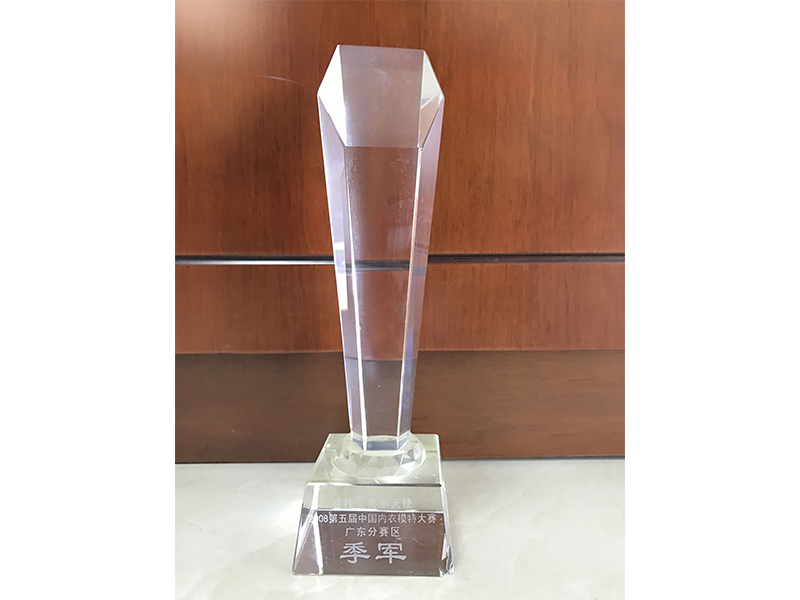 第五屆中國內(nèi)衣模特大賽廣東分賽區(qū)季軍